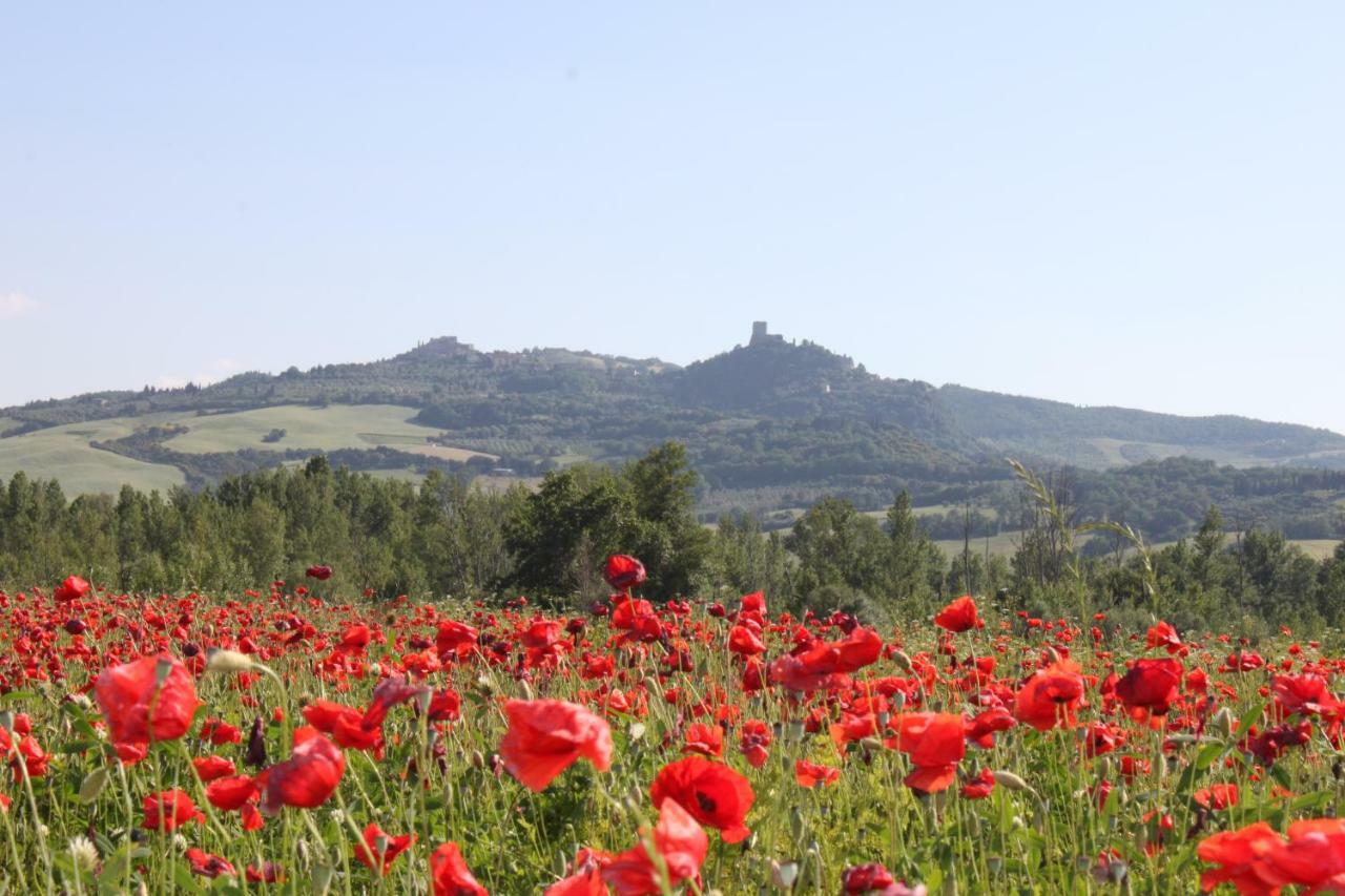 Alla Porta Di Sopra Castiglione dʼOrcia Exterior foto